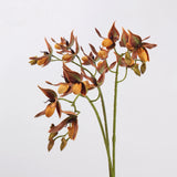 Orange faux Paphiopedilum orchid stems