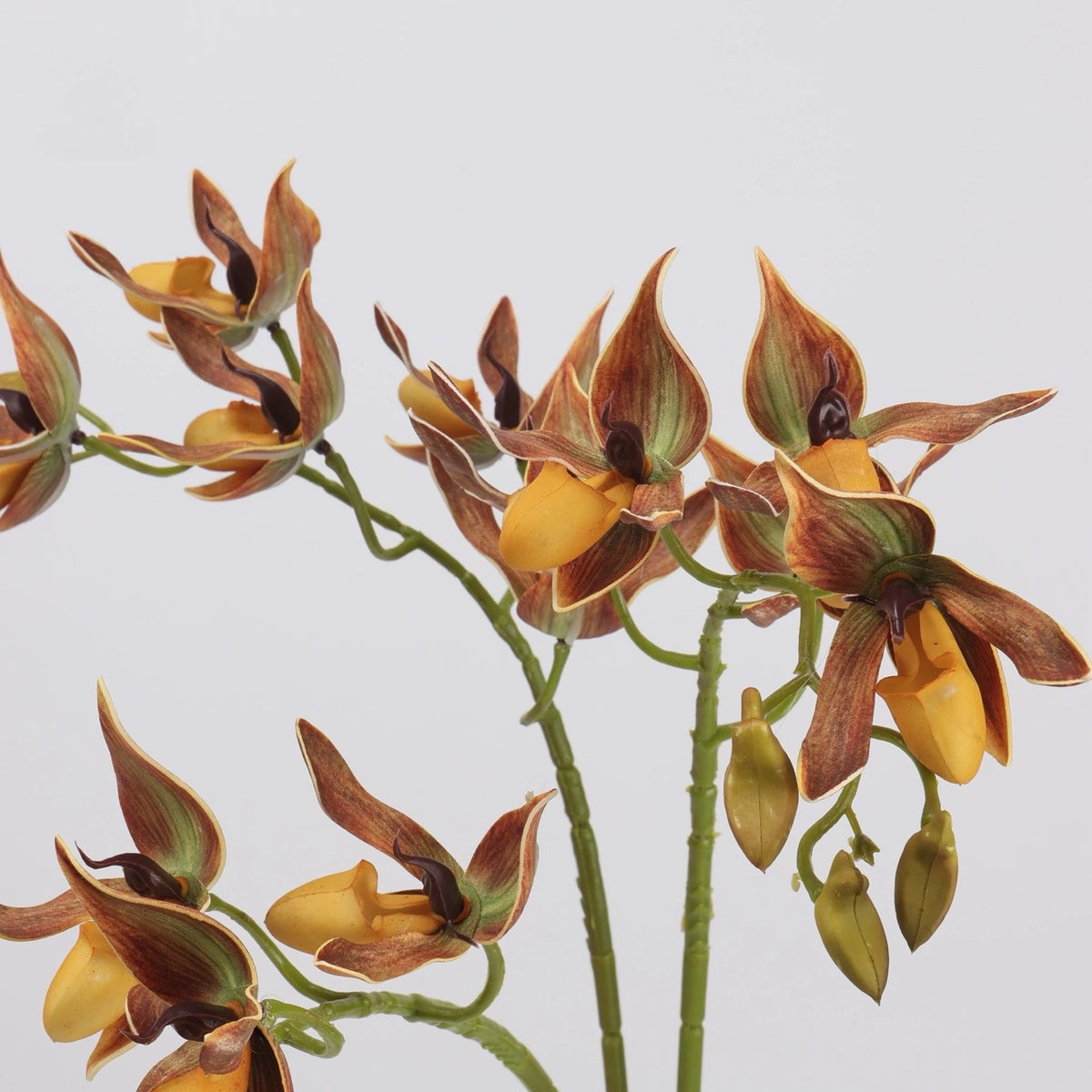 Orange faux Paphiopedilum orchid flower detail