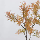Autumn orange faux smoke bush foliage detail