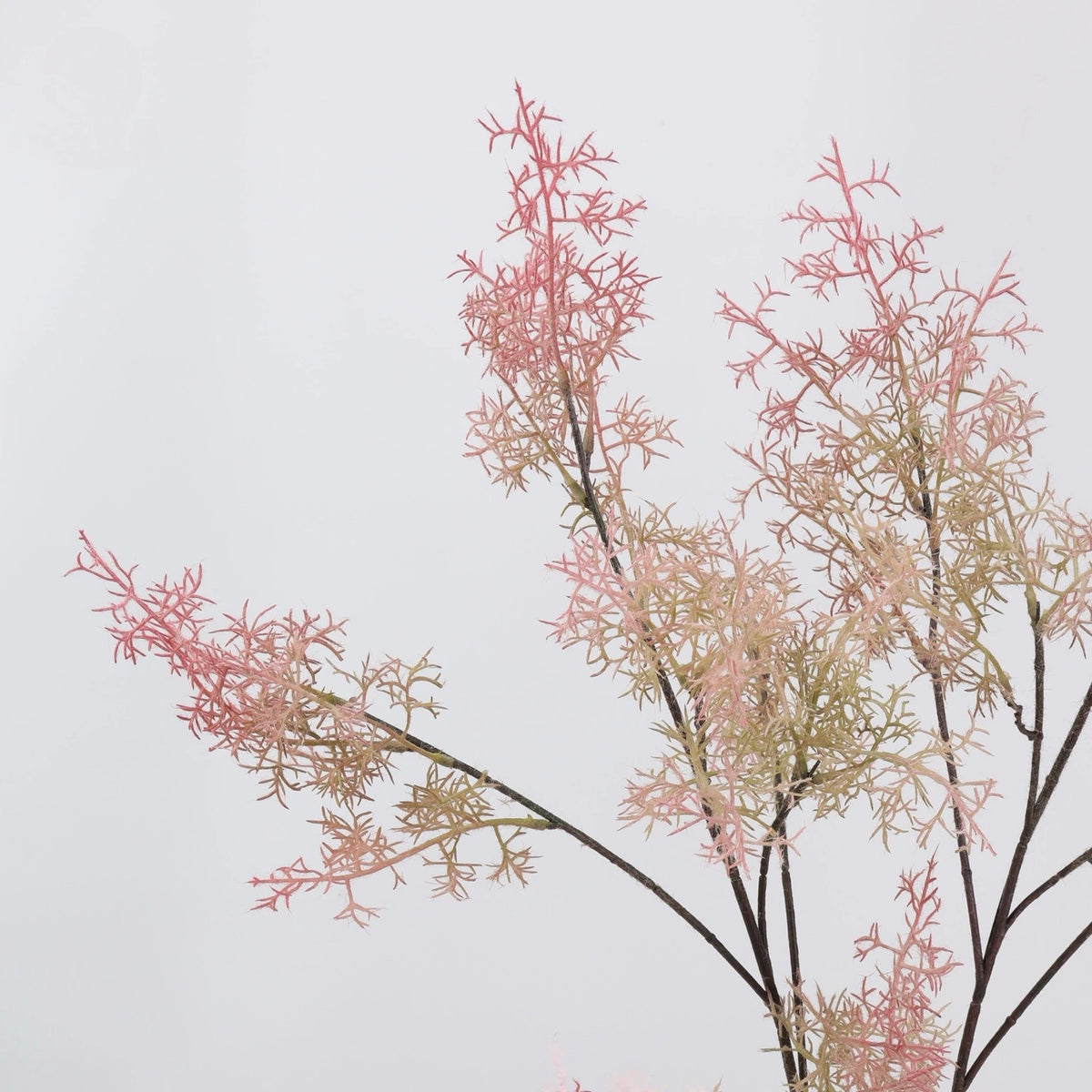 Pink faux smoke bush foliage detail