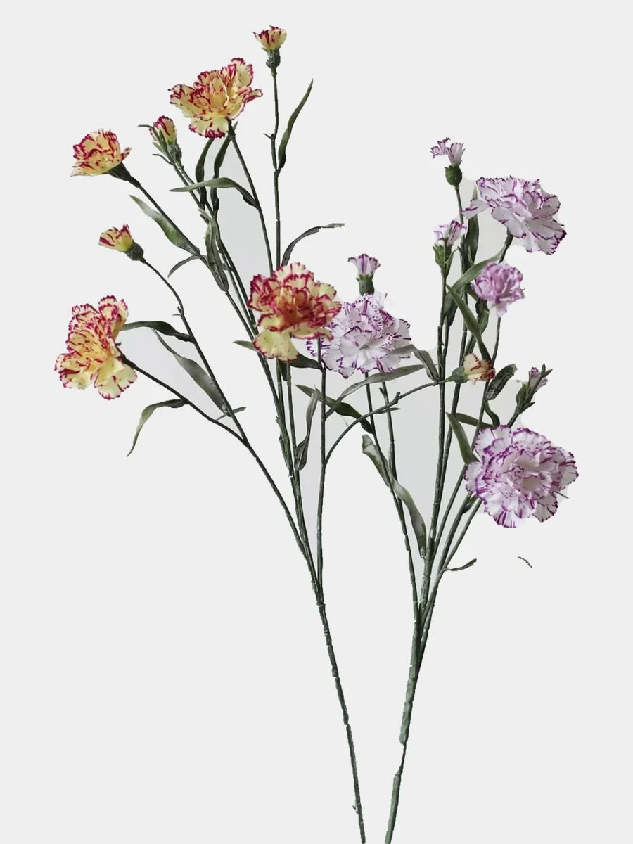Faux spray carnation two colour
