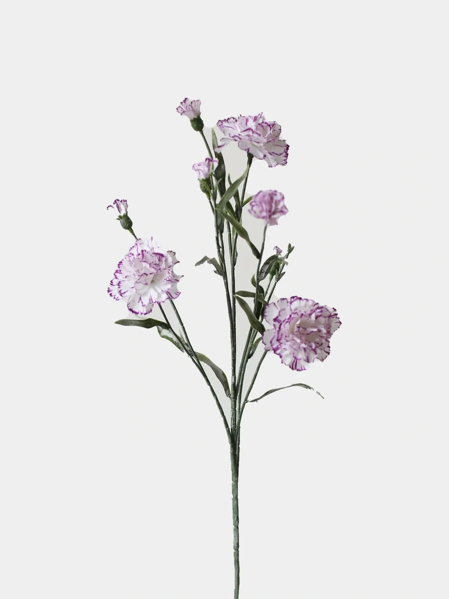 Faux spray carnation white purple main
