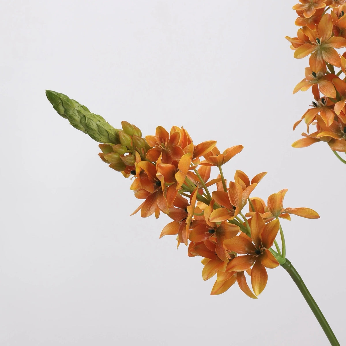 Orange faux velvet ornithogalum bunch