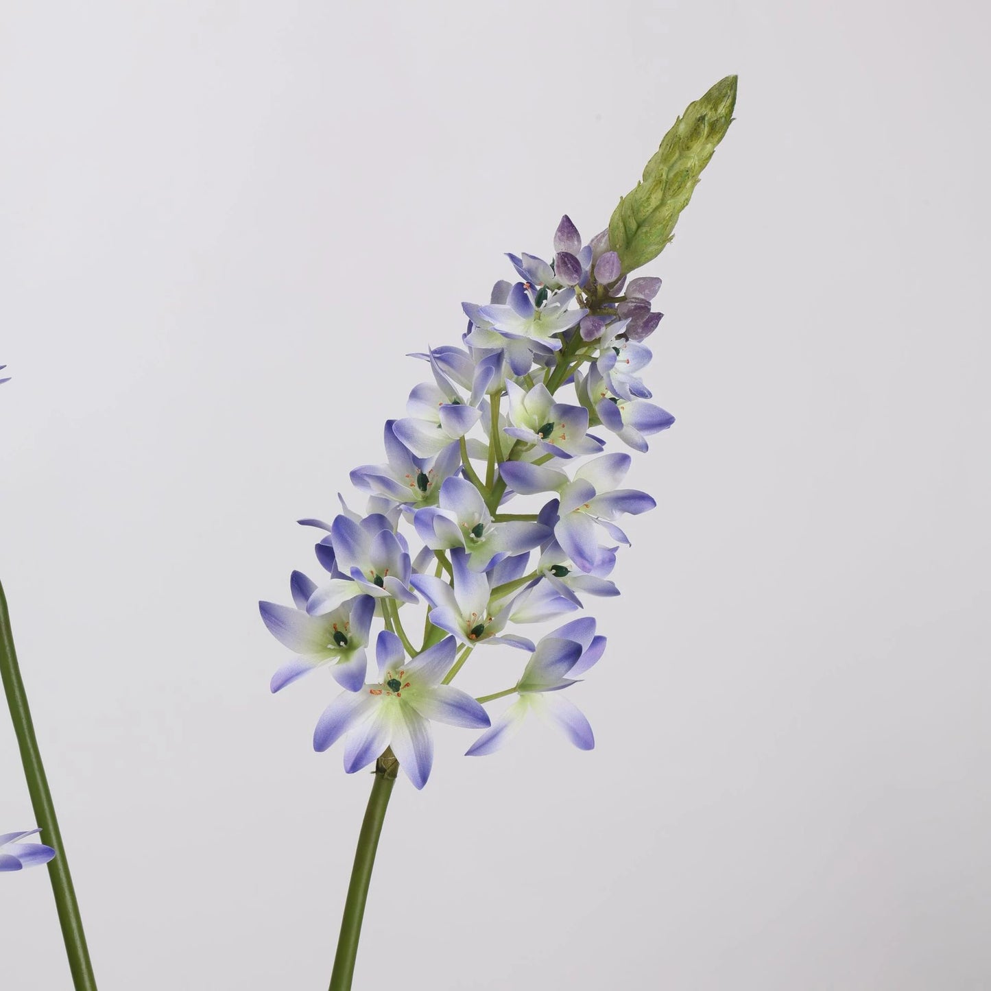 White faux velvet ornithogalum blossom detail