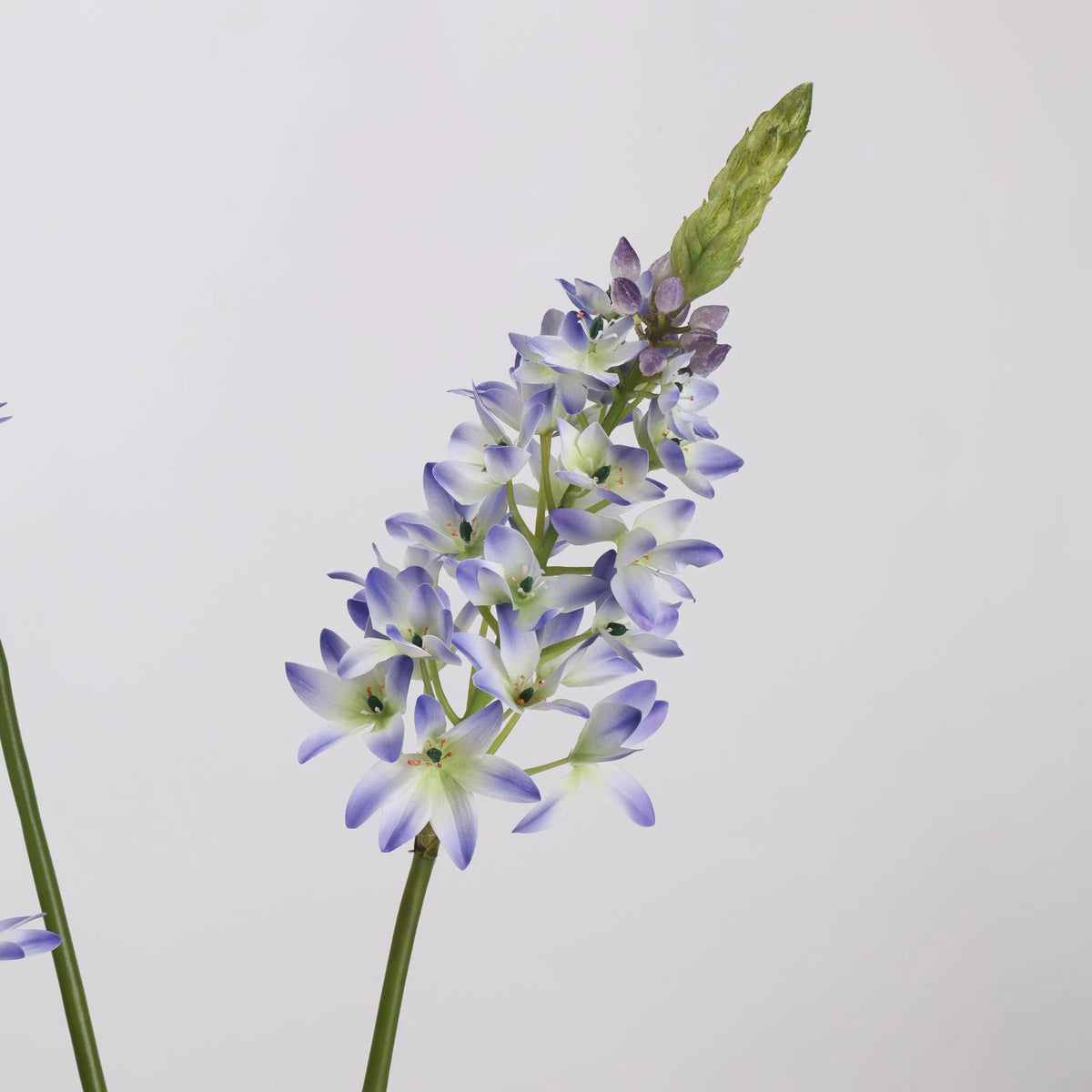 White faux velvet ornithogalum blossom detail
