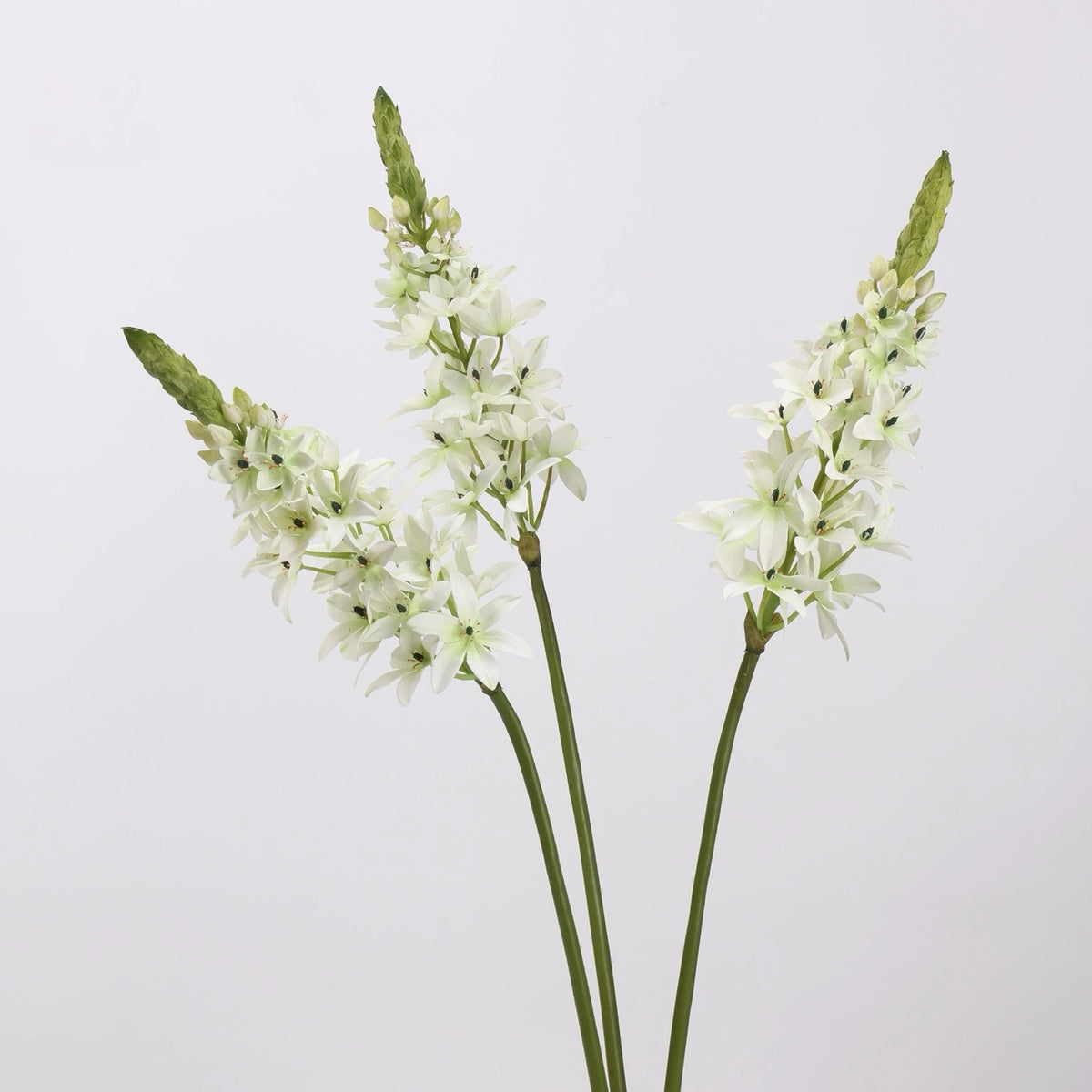 White faux velvet ornithogalum stems