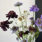 Faux Scabiosa Stem