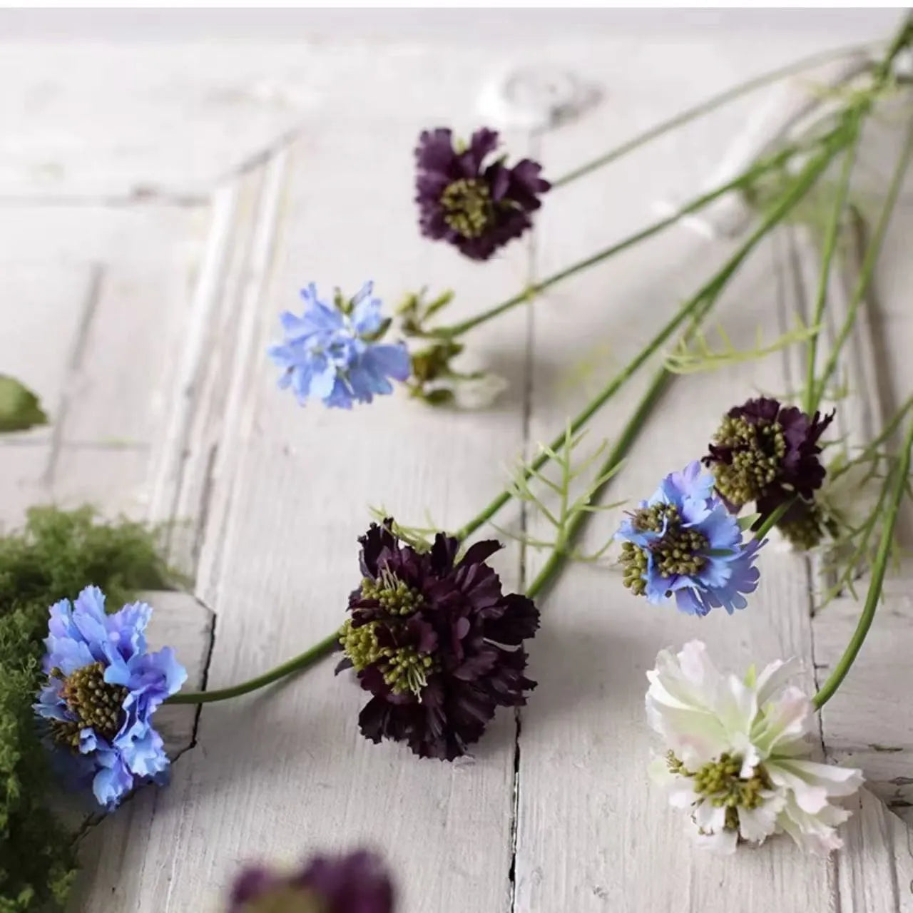 Faux Scabiosa Stem