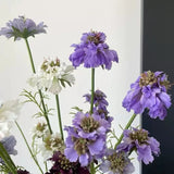 Faux Scabiosa Stem