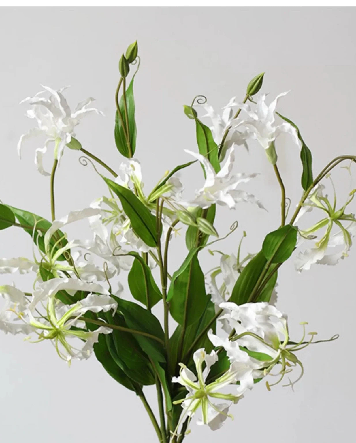 White artificial gloriosa lily flower detail