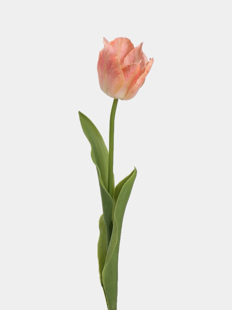 Apricot large artificial Armani tulip stem with a flared bloom and green leaves, 48 cm tall
