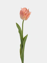 Apricot large artificial Armani tulip stem with a flared bloom and green leaves, 48 cm tall