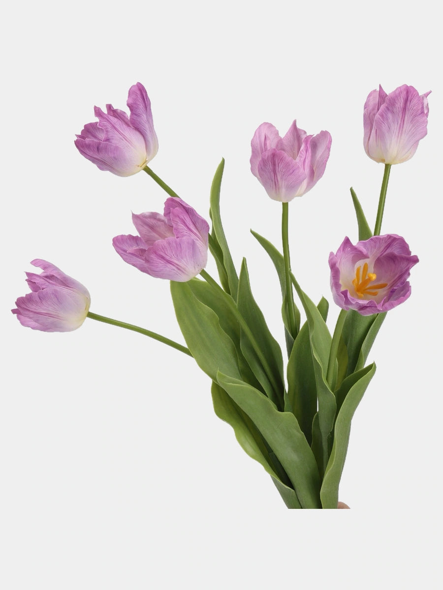 Close-up of Lilac large Real Touch Armani tulip blooms and green leaves