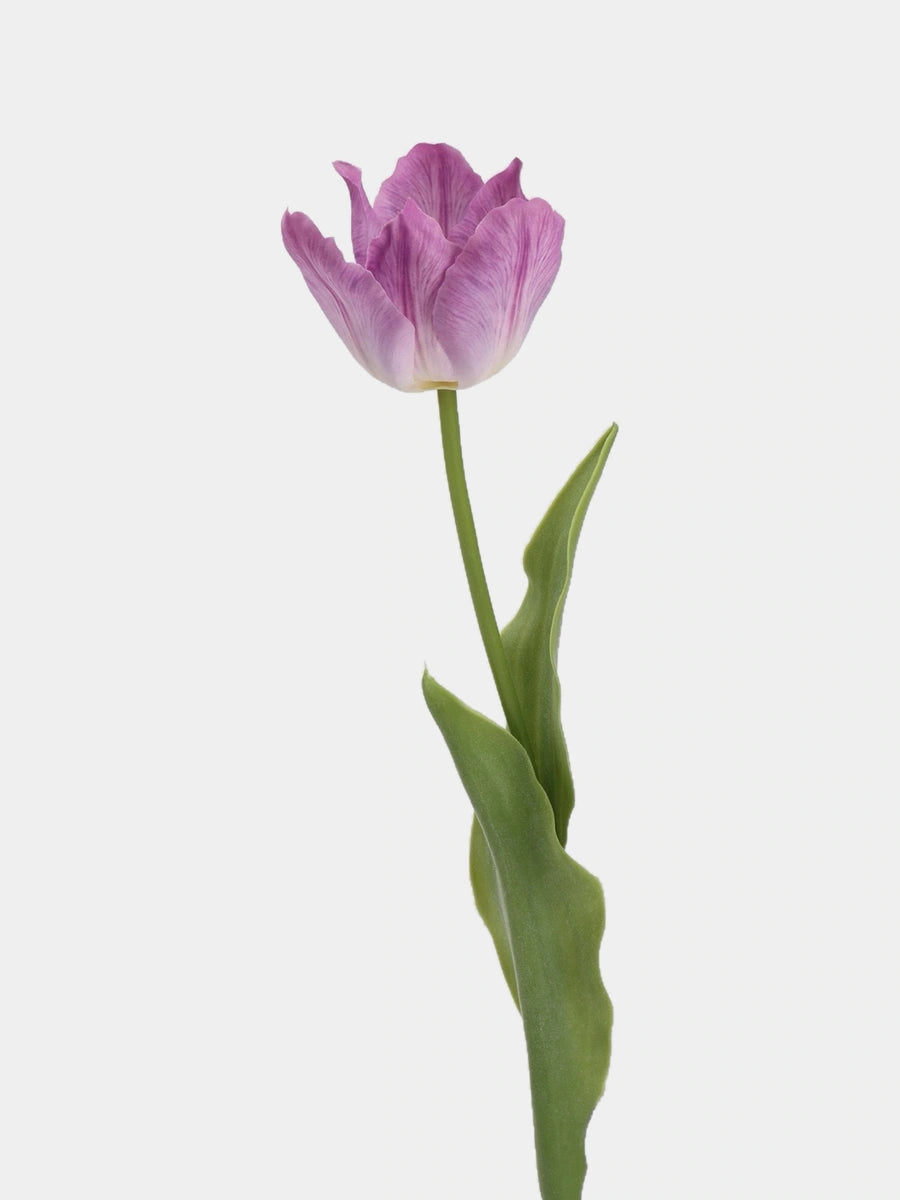Lilac large artificial Armani tulip stem with a flared bloom and green leaves, 48 cm tall