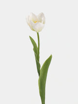 White large artificial Armani tulip stem with a flared bloom and green leaves, 48 cm tall