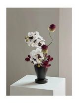 Monroe faux orchid arrangement on white plinth