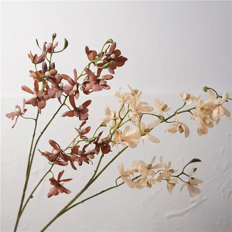 Autumn butterfly orchid stems in mixed colours
