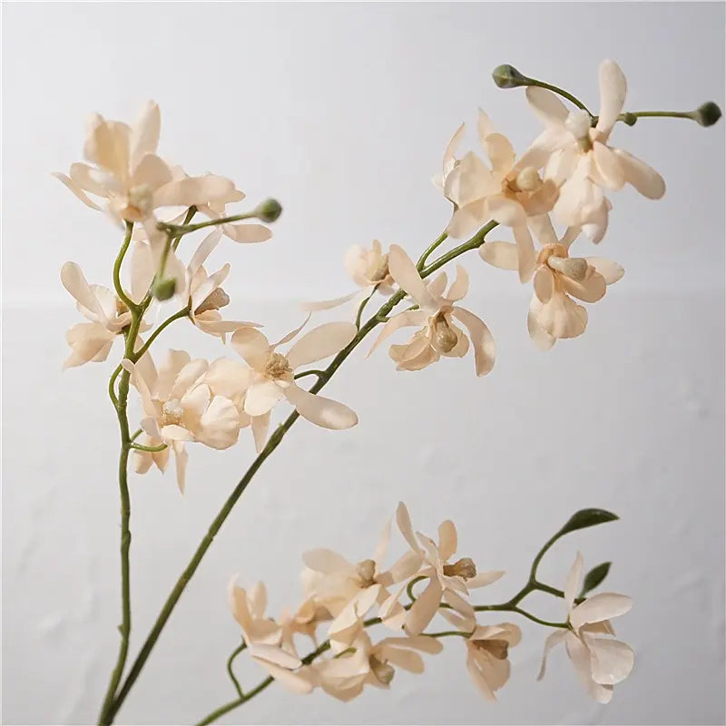 Champagne faux autumn butterfly orchid flower detail