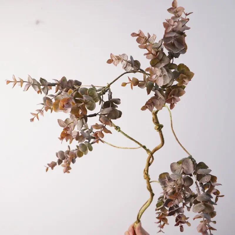 Faux money leaf vine foliage and twisting stem