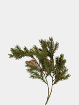 Green faux Norfolk pine branch with pine cones