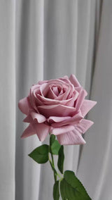 リアルタッチフェイクトルコローズ -26"