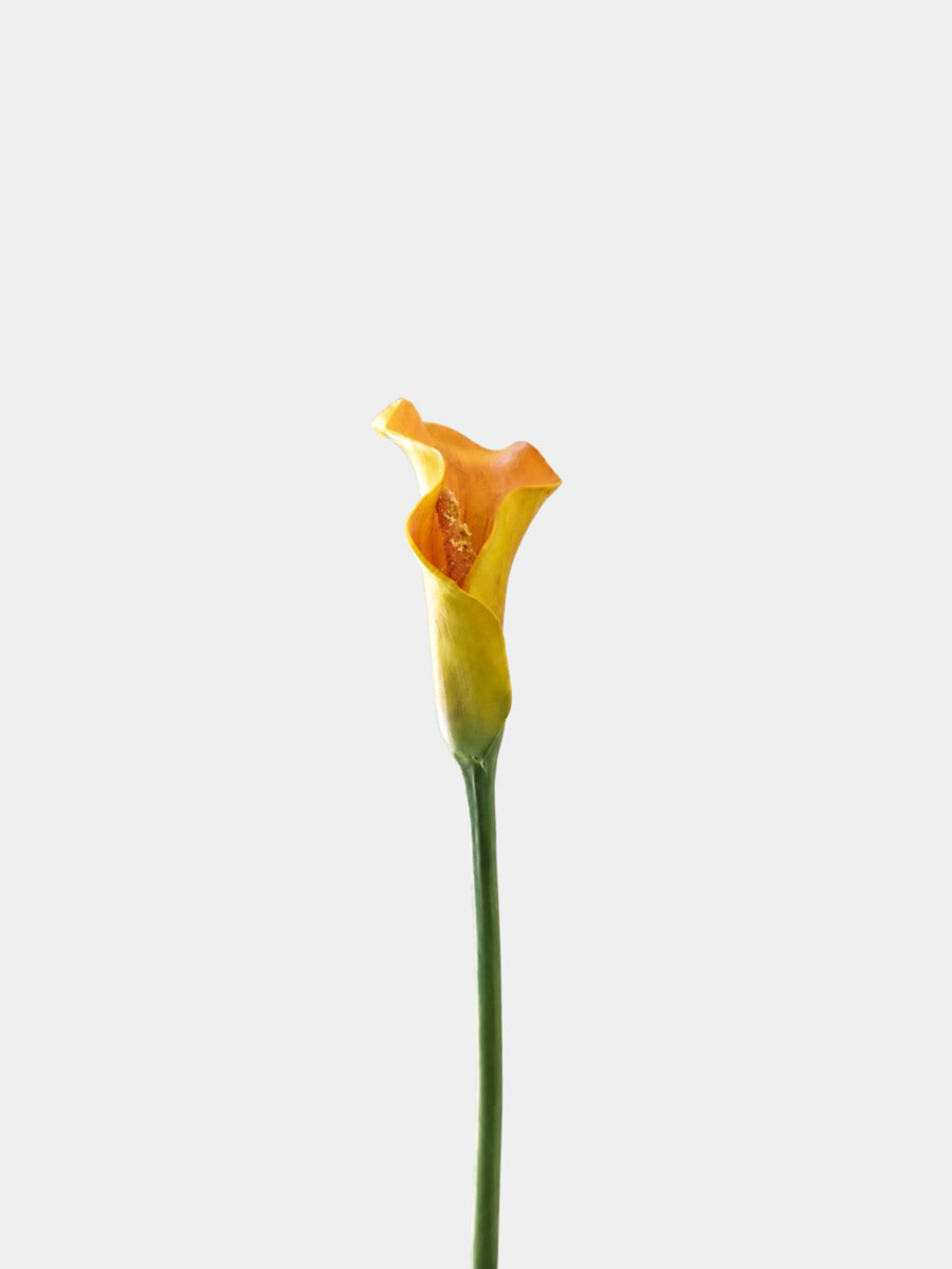 Saffron yellow Real Touch calla lily stem on a light grey background