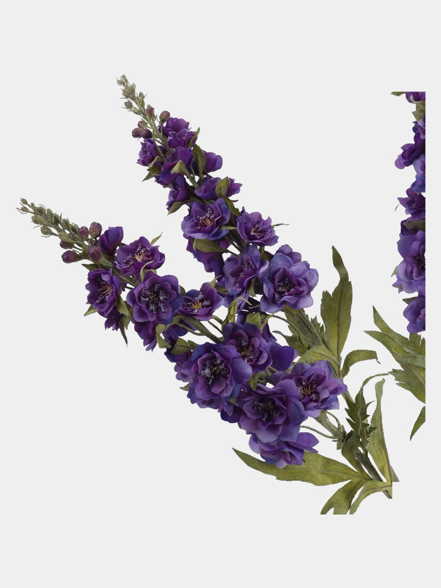 Dark Purple Real Touch double delphinium flower close-up