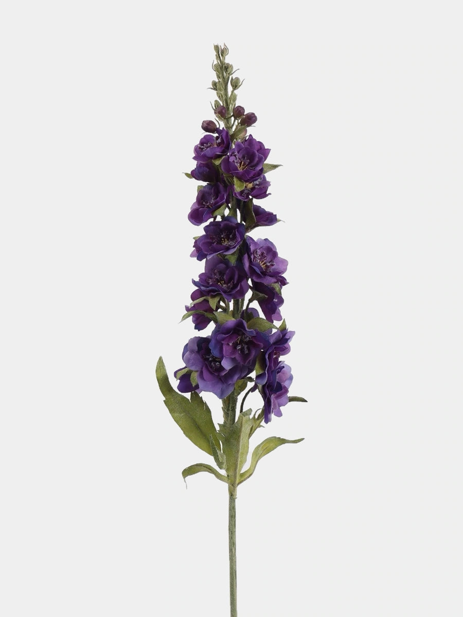 Dark Purple Real Touch double delphinium single view