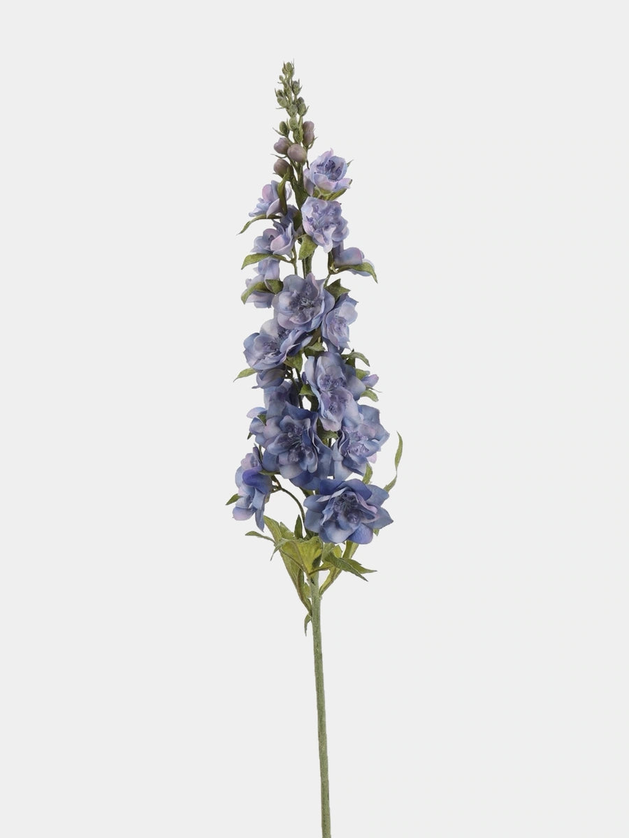 Light Blue Real Touch double delphinium single view