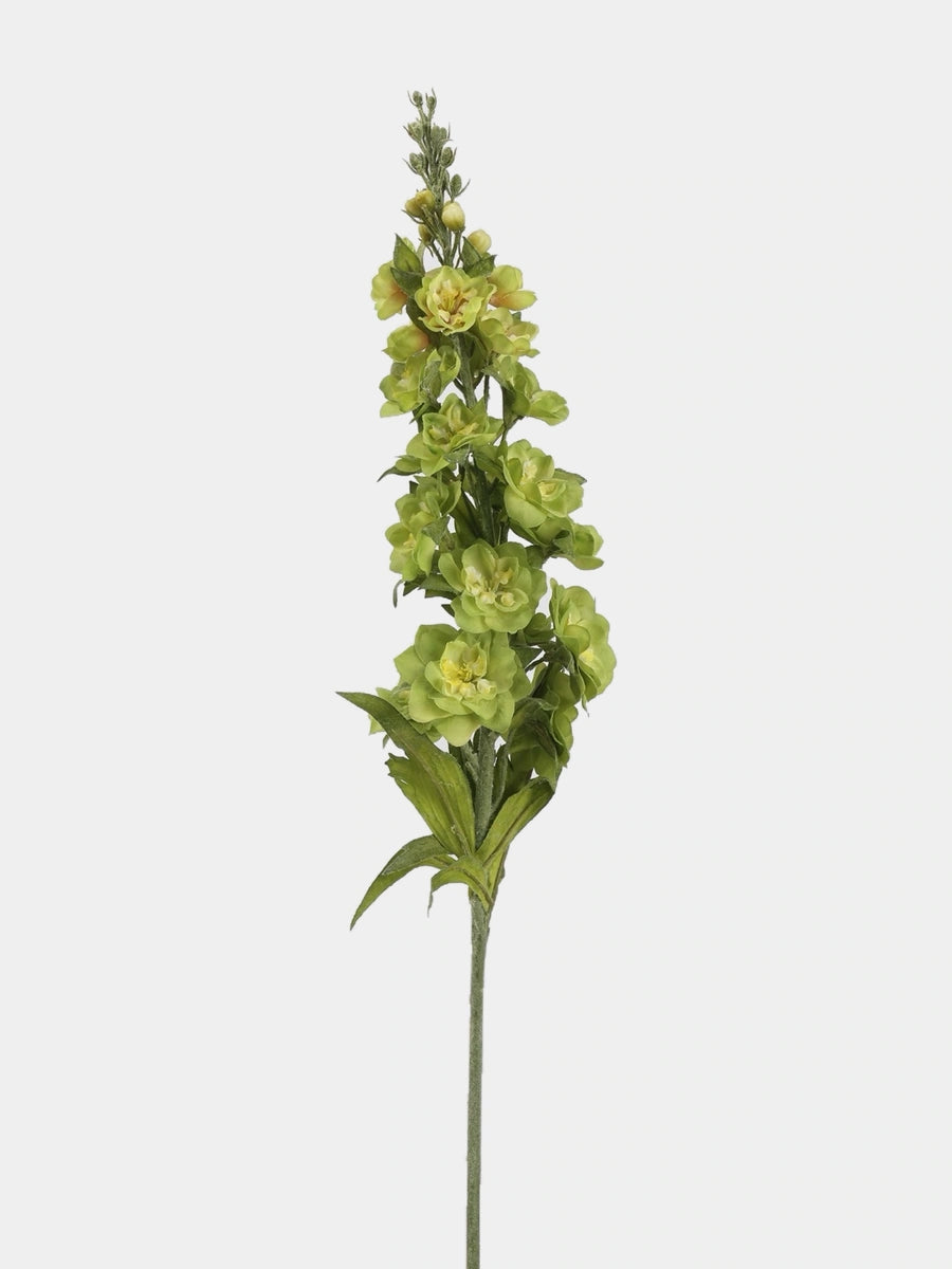 Light Green Real Touch double delphinium single view