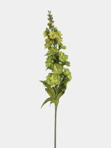 Light Green Real Touch double delphinium single view