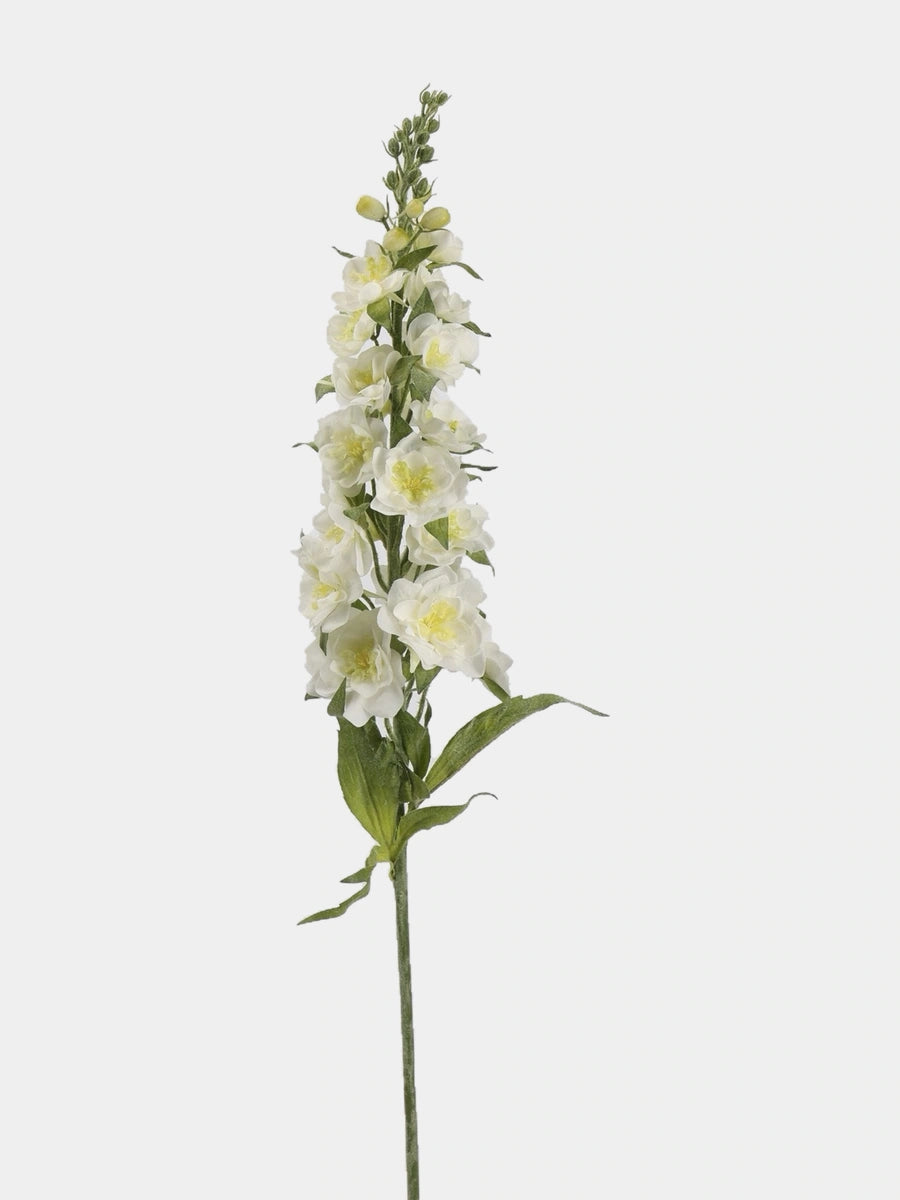 White Real Touch double delphinium single view