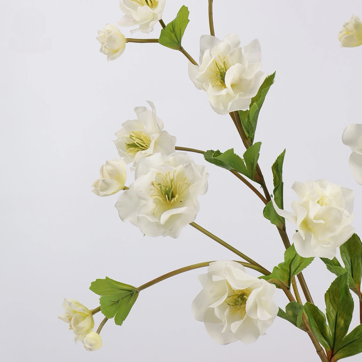 Real Touch double hellebore white flower detail