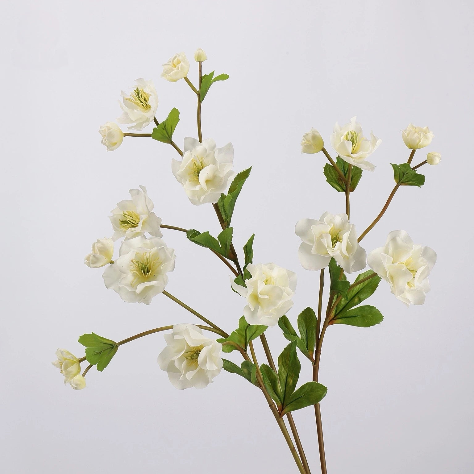 Real Touch double hellebore white flower stems