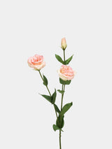 Real Touch lisianthus peach main