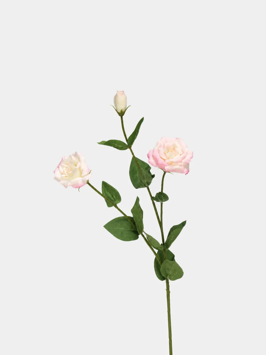 Real Touch lisianthus pink main