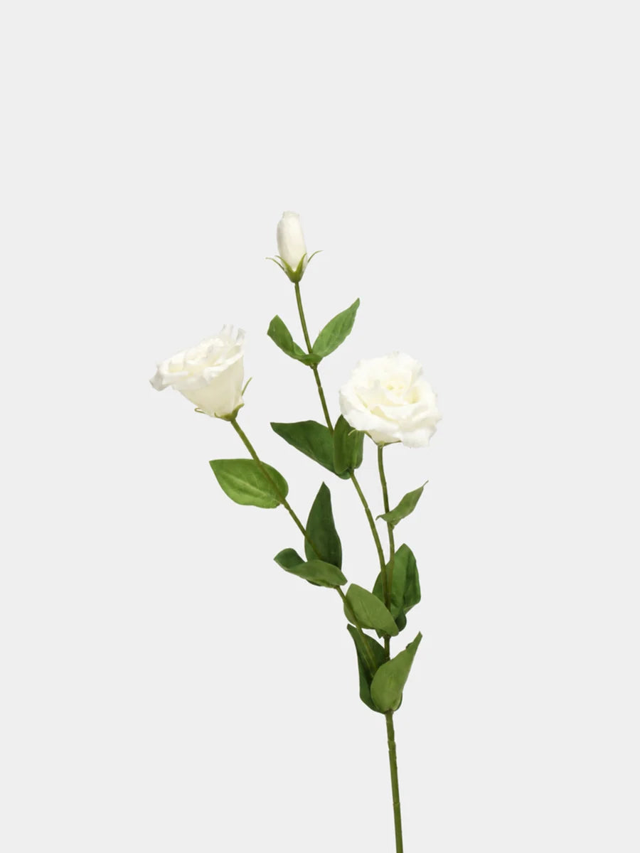 Real Touch lisianthus white main