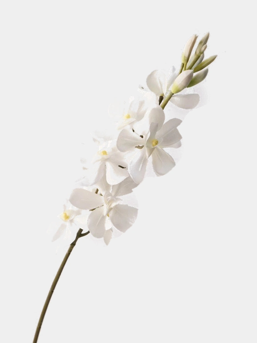 Creamy white Real Touch Mokara orchid single stem