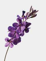 Purple spotted Real Touch Mokara orchid single stem