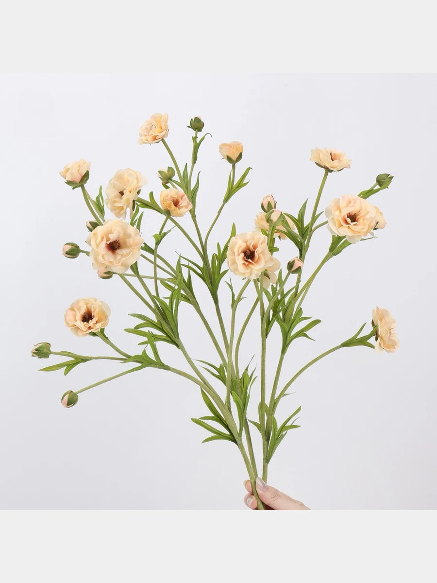 Cream real touch ranunculus flower stem