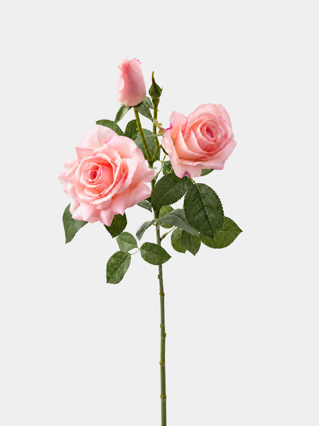 Blush pink Real Touch artificial rose spray with two open roses and one rosebud, 77 cm tall