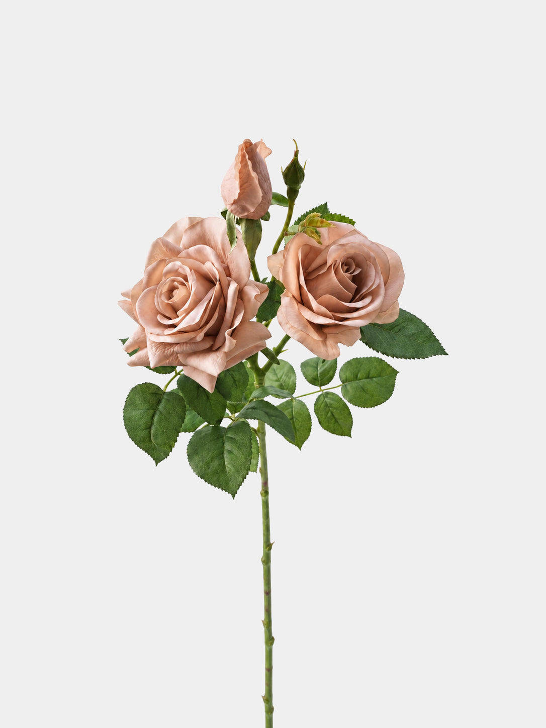 Light brown Real Touch artificial rose spray with two open blooms and a rosebud, 77 cm tall