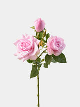 Lilac Real Touch artificial rose stem with soft-touch petals and green foliage, 77 cm tall