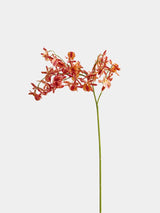 orange faux spider orchid spray on a light grey background