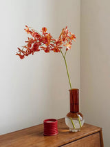 Faux spider orchid orange scene 1