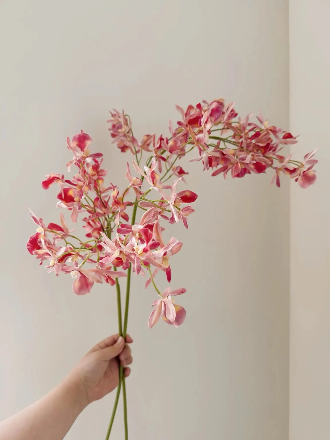 Faux spider orchid pink detail