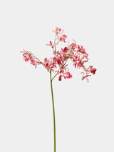 pink faux spider orchid spray on a light grey background