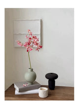 Faux spider orchid pink scene 2