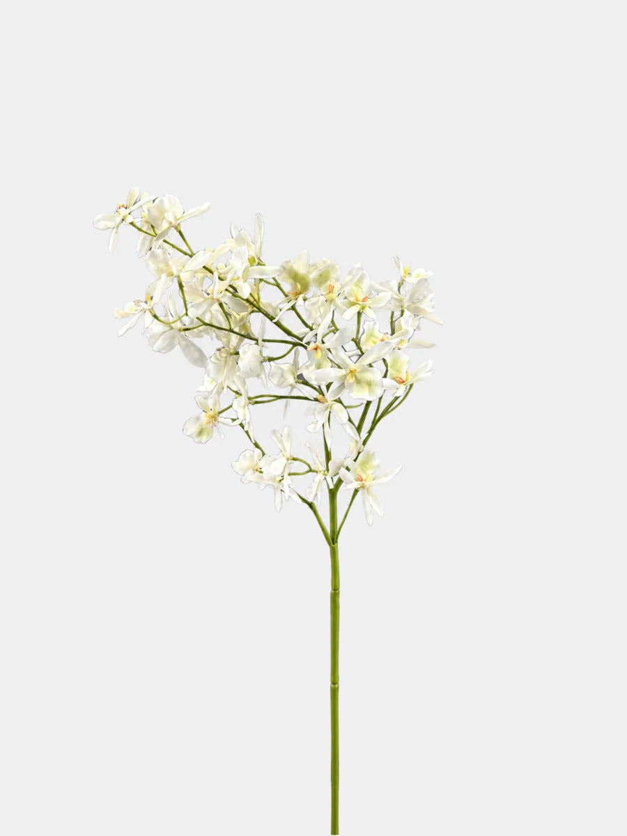 white faux spider orchid spray on a light grey background