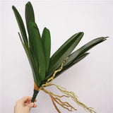 vanda 11 leaves 42cm natural background